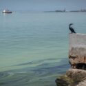 ONG denuncia incremento de derrames petroleros y fugas de gas en Lago de Maracaibo