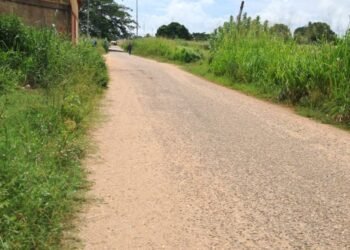 Voz comunitaria | Inseguridad y maleza afectan al callejón situado detrás de campo deportivo en El Tigre