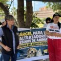 Organizaciones piden reforma penal en torno al maltrato animal