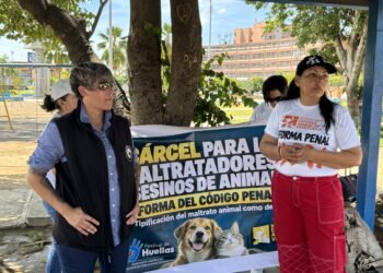 Organizaciones piden reforma penal en torno al maltrato animal