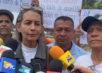 La tala de árboles en la plaza José María Vargas generó cuestionamientos entre habitantes del Centro Histórico de Cumaná