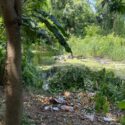 “Siempre hemos vivido en el charco” abandono institucional condena a comunidades rurales ante eventos climáticos 