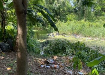 “Siempre hemos vivido en el charco” abandono institucional condena a comunidades rurales ante eventos climáticos 
