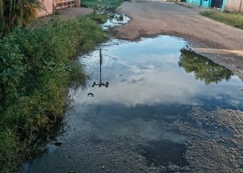 Aseguran que tienen más de tres meses viviendo la situación insalubre