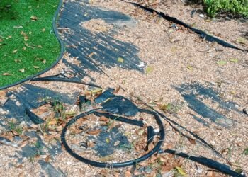 Los vecinos reportan que no se hizo mantenimiento tras la ejecución del proyecto de rehabilitación de ese espacio público
