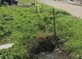 La red de aguas servidas ha colapsado en varios sectores de la población