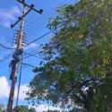 Aunque de momento no se han registrado cortocircuitos o algún hecho fortuito en los cables, los vecinos temen que con las lluvias y vientos fuertes esto termine ocurriendo