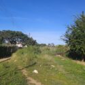 Voz Comunitaria | Vecinos de Santa Rosa, en Freites, llevan cinco años sin servicio de aseo urbano 