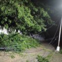 Lluvia y ráfagas de vientos causaron afectaciones en el municipio Aragua