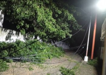 Lluvia y ráfagas de vientos causaron afectaciones en el municipio Aragua