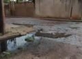 Voz Comunitaria | Aguas negras se acumulan en calles del sector José Antonio Páez de El Tigre