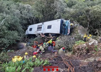 Hasta el lugar del suceso se trasladaron 23 ambulancias y dos helicópteros