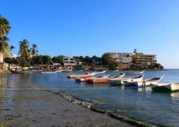 Concejal de Maneiro exige frenar los arrimes obligatorios y cobros excesivos a pescadores