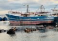 Gobierno y marinos evalúan medidas para reactivar la pesca industrial
