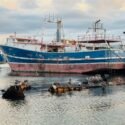 Gobierno y marinos evalúan medidas para reactivar la pesca industrial