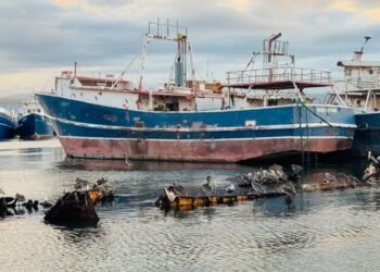 Gobierno y marinos evalúan medidas para reactivar la pesca industrial