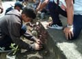 Estudiantes produjeron 500 plantas ornamentales en Carúpano (+Fotos)