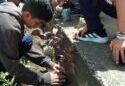 Estudiantes produjeron 500 plantas ornamentales en Carúpano (+Fotos)