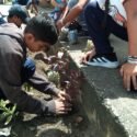 Estudiantes produjeron 500 plantas ornamentales en Carúpano (+Fotos)