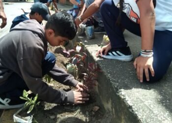 Estudiantes produjeron 500 plantas ornamentales en Carúpano (+Fotos)