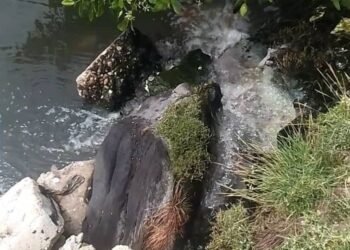 Exigen construcción urgente de plantas de tratamiento para eliminar contaminación de canales